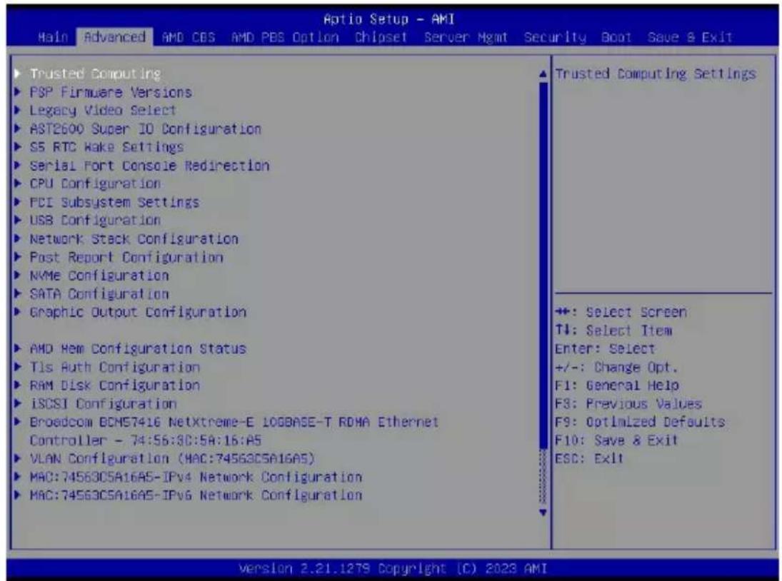 GIGABYTE G293-Z21 - 5-2 Advanced Menu - 1