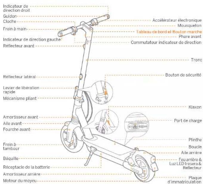 SEGWAY Ninebot KickScooter MAX G2 E - Trademark - 2