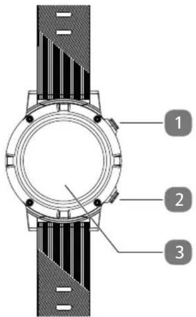 MEDION Life S2400 (MD 61759) - Vorder- und Rückseite - 1