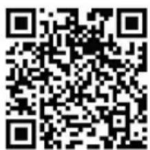 MEDION Life S2400 (MD 61759) - MEDION® Fitness App - 1