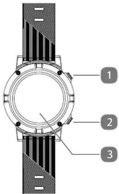 MEDION Life S2400 (MD 61759) - Front and back - 1