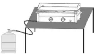 CAMPINGAZ Plancha Flame LX - d) LA BOMBOLA DEL GAS - 2