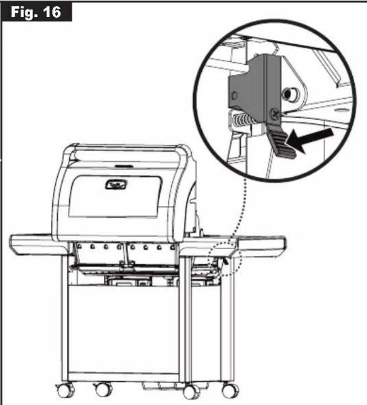 Fig. 16