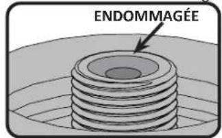 ENDOMMAGÉE
