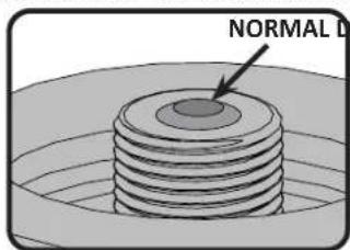 NORMAL D