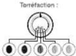 KRUPS Intuition Experience EA877 - ПОЧЕМУ СЛЕДУЕТ РЕГУЛИРОВАТЬ СТЕПЕНЬ ПОМОЛА? - 1