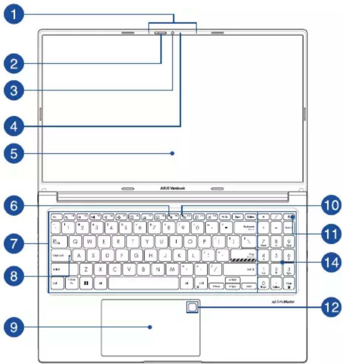 ASUS VivoBook 16X OLED - Modèle 15" - 1