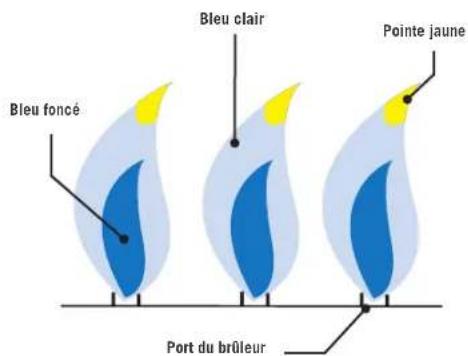 Bleu clair Pointe jaune Bleu foncé Port du brûleur