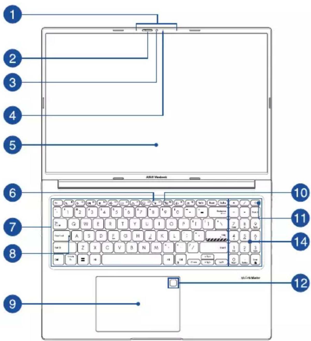 ASUS VivoBook 16 OLED - Modèle 16" - 1