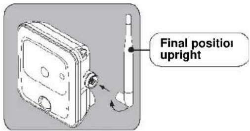 Final positioi upright