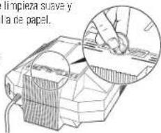 I mpleza suve y la de papel.