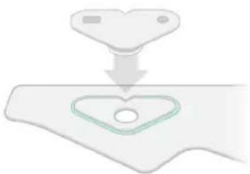 Owlet Smart Sock 3 - Talla, colocación y medida del Sock - 1