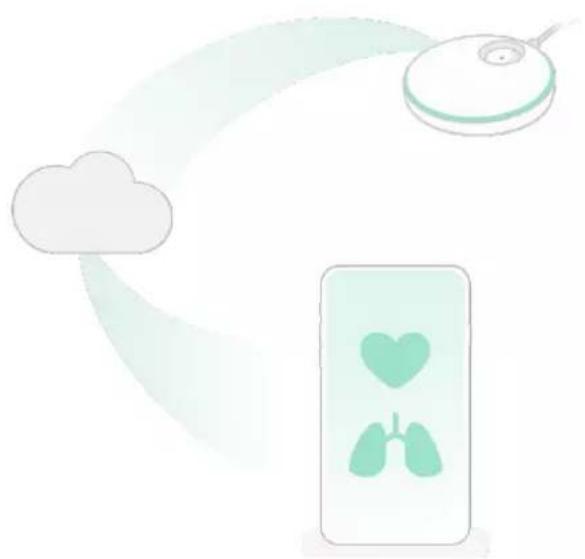 Owlet Smart Sock 3 - So funktioniert die App - 1