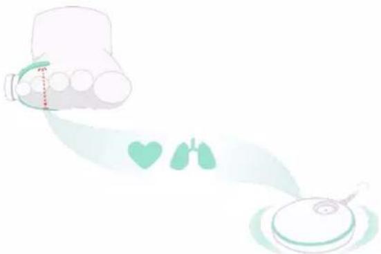 Owlet Smart Sock 3 - アウレ ソックの仕組み - 1