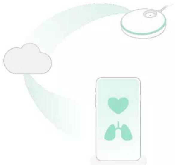 Owlet Smart Sock 3 - LAN (paikallisverkko) -tila: - 1