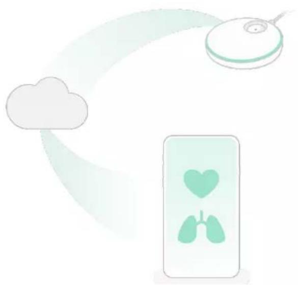 Owlet Smart Sock 3 - Cómo funciona la Aplicación - 1
