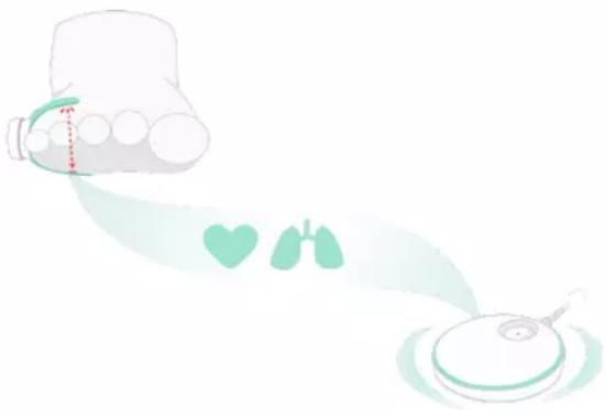 Owlet Smart Sock 3 - Hvordan fungerer Owlet Sock? - 1