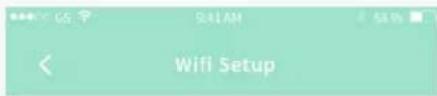 SALAN WIFI Setup