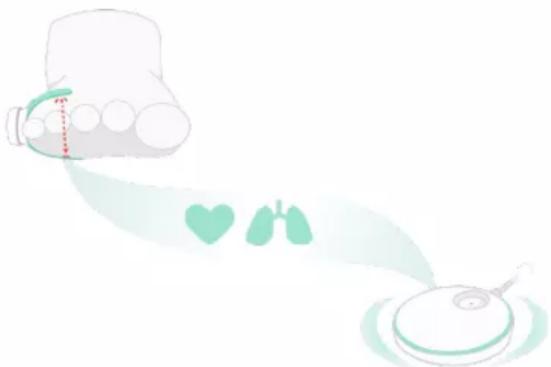 Owlet Smart Sock 3 - Owlet Sock 오울렛 삭스 작동 방식 - 1