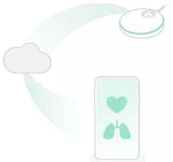 Owlet Smart Sock 3 - Lorsqu'elle est connectée - 1