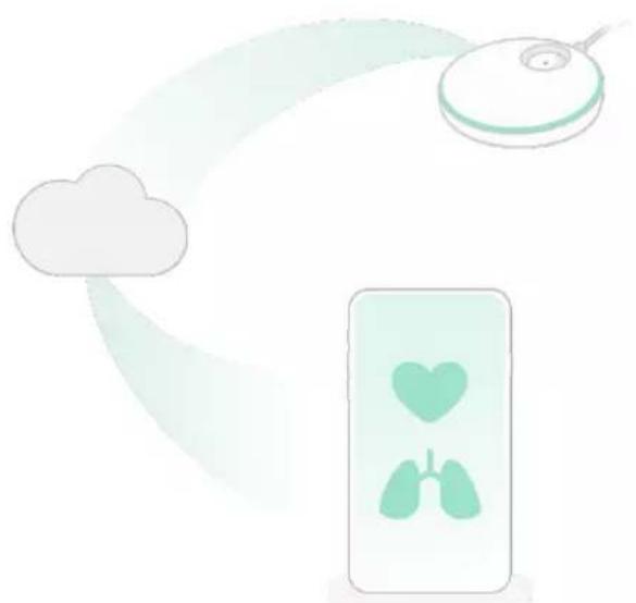 Owlet Smart Sock 3 - Sådan virker appen - 1