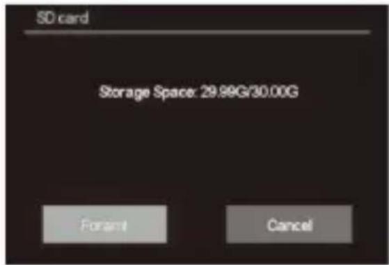 SD card Storage Space: 29.99G/30.00G Forward Cancel