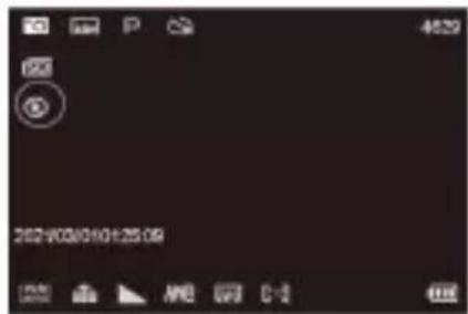 OKA V-LOG - Bouton Flash - 2