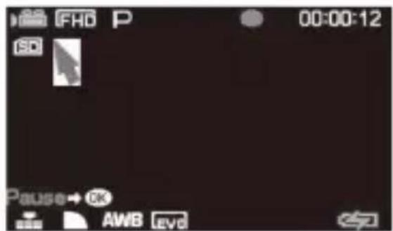 FHD P 00:00:12 SD Pause OK AWB EVD