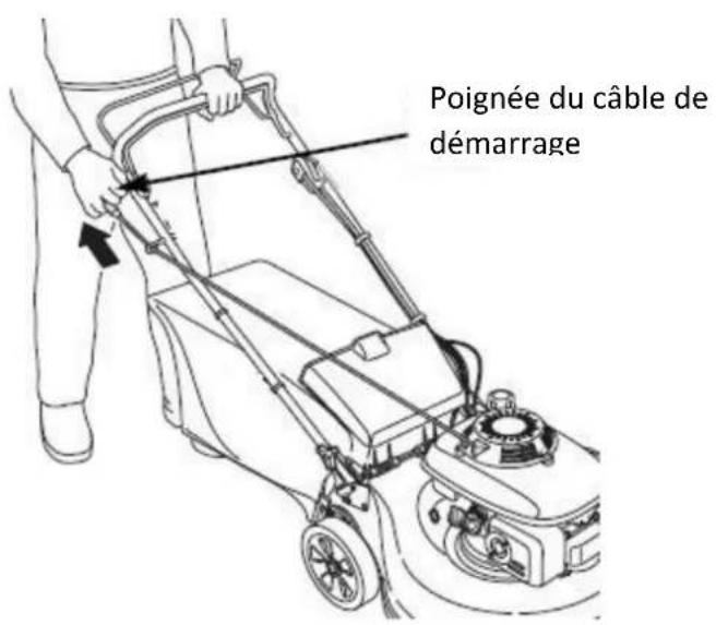Poignée du câble de démarrage