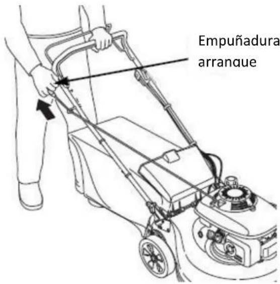 Empuñadura arranque