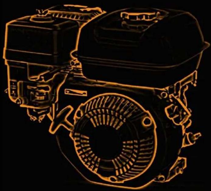 Fuxtec FX-BV240 - MOTORHANDBUCH FX-BV240 - FX-BV240ECO - 1