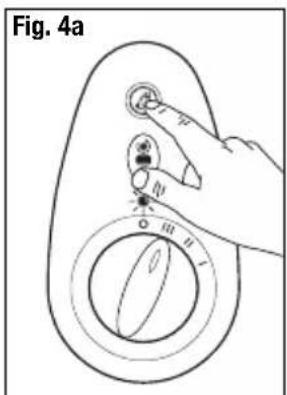 Fig. 4a