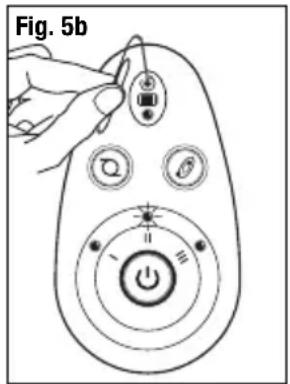Fig. 5b