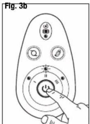 Fig. 3b