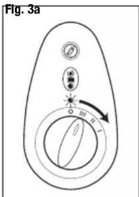 Fig. 3a 100%