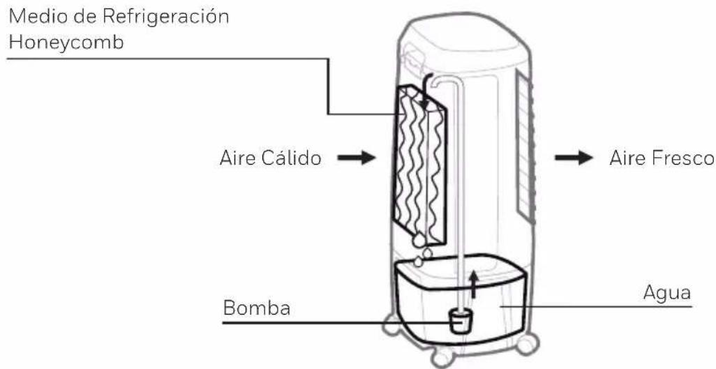Medio de Refrigeración Honeycomb Aire Cálido Aire Fresco Bomba Agua