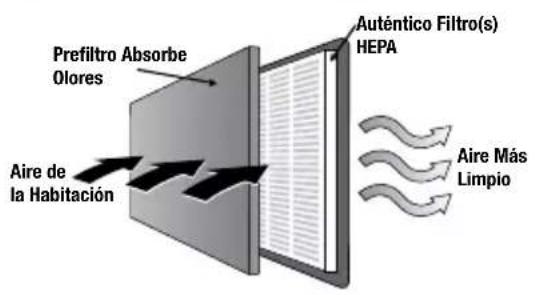 Prefiltro Absorbe Olores Aire de la Habitación Auténtico Filtro(s) HEPA Aire Más Limpio