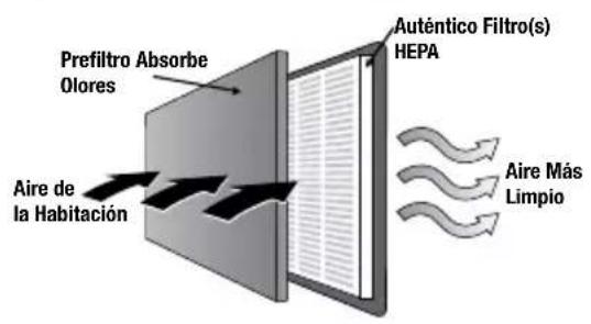 Prefiltro Absorbe Olores Aire de la Habitación Auténtico Filtro(s) HEPA Aire Más Limpio