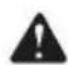 Fuxtec FX-LBS126P - ORIGINALBETRIEBSANLEITUNG - 2