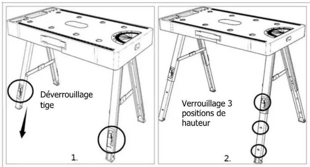 Déverrouillage tige 1. Verrouillage 3 positions de hauteur 2.