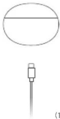 OPPO Enco X2 - Reset device - 4