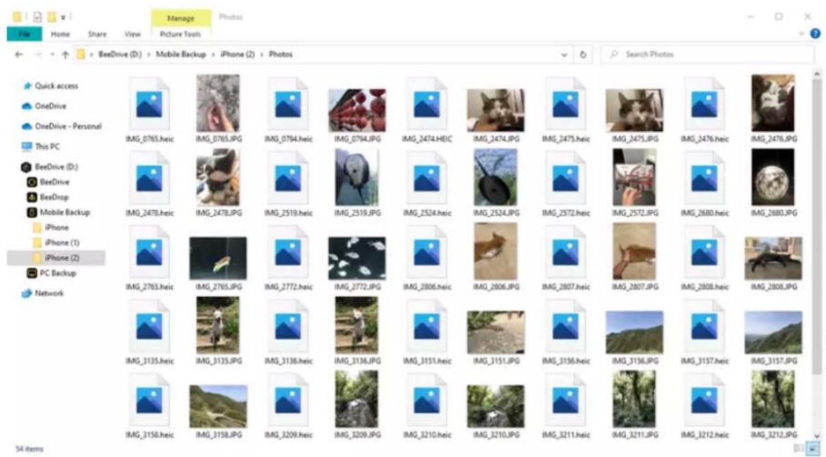 SYNOLOGY BeeDrive BDS70-1T - Remarques: - 2