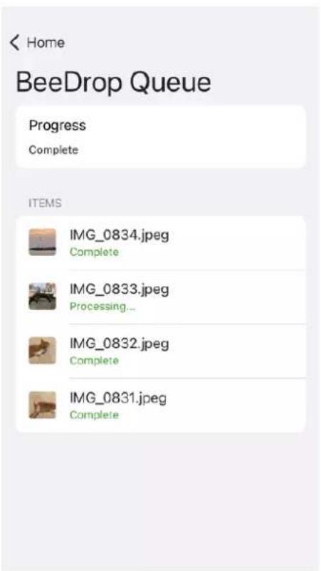 SYNOLOGY BeeDrive BDS70-1T - Envoyez des fichiers/photos depuis des péripériques mobiles vers BeeDrive - 8