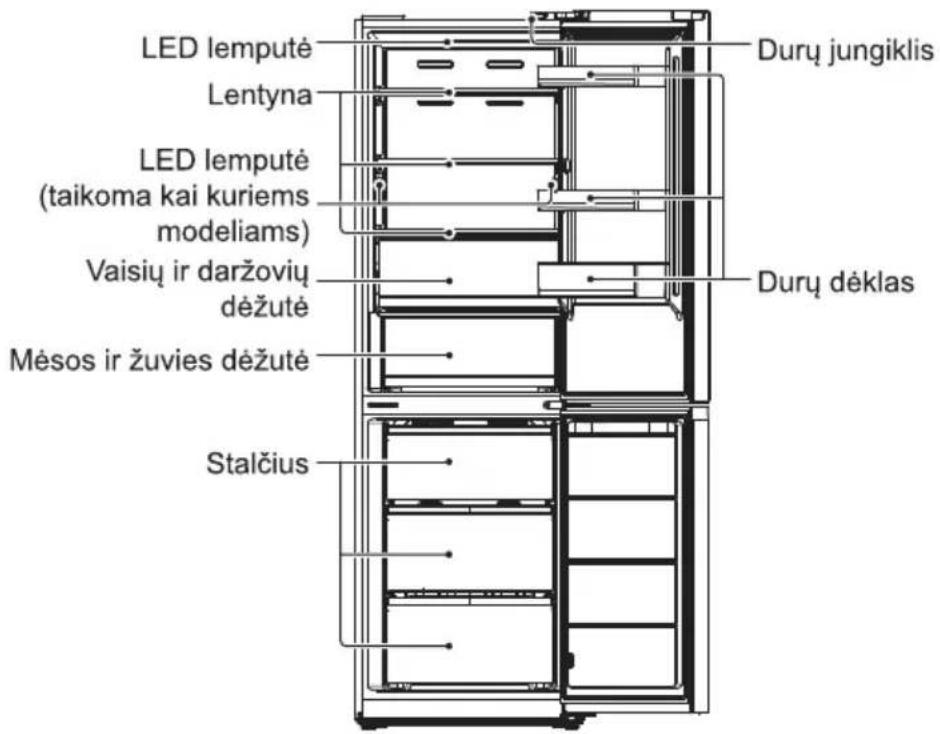 LED lemputė Lentyna LED lemputė (taikoma kai kuriems modeliams) Vaisių ir daržovių dėžutė Mėsos ir žuvies dėžutė Stalčius Durų jungiklis Durų dėklas