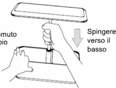muto bio Spingere verso il basso