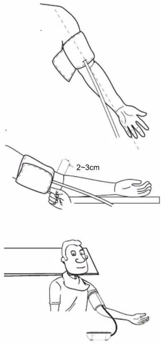 2~3cm