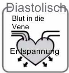 Diastolisch Blut in die Vene Entspannung
