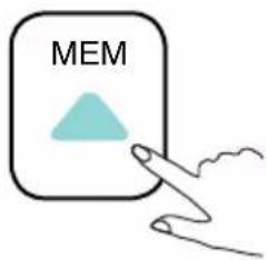 MEM