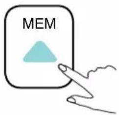 MEM