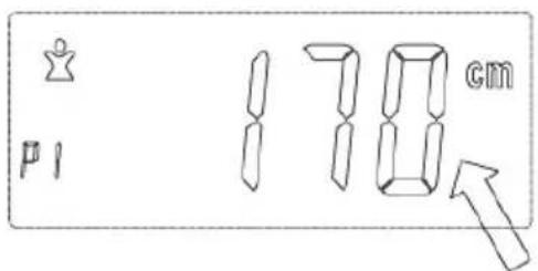 p1 178 cm